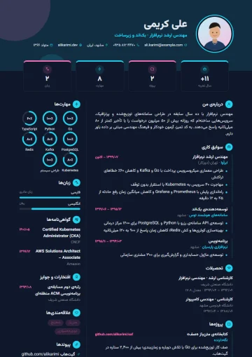 نمونه‌ی رزومه با قالب اینفوگرافیک · تیره (دسته‌ی خلاق)